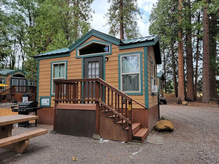 Mount Shasta City KOA Holiday Picture 5