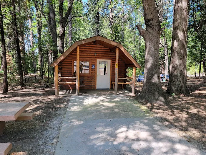 Mount Shasta City KOA Holiday Picture 1
