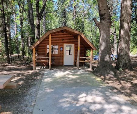 Mount Shasta City KOA Holiday