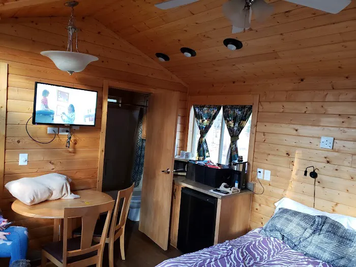 Mount Shasta City KOA Holiday Picture 8