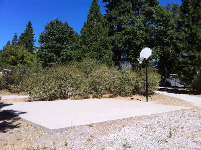 Mount Shasta City KOA Holiday Picture 10