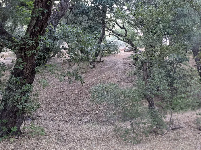 Paradise Campground Picture 3