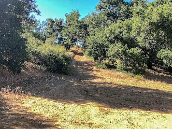 Paradise Campground Picture 8