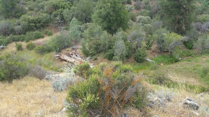 La Panza Campground Picture 8