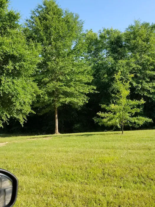 Bogue Chitto Swamp Cabins Picture 7