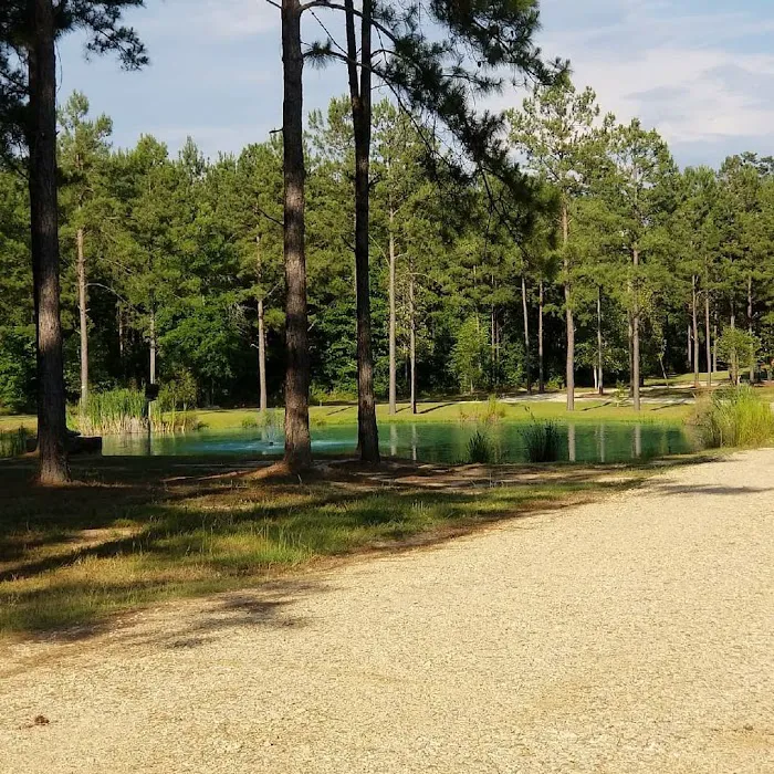 Bogue Chitto Swamp Cabins Picture 2
