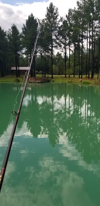 Bogue Chitto Swamp Cabins Picture 8