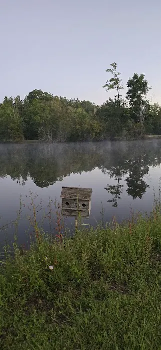 5 Lakes BOYSCOUT ONLY Campground Picture 1
