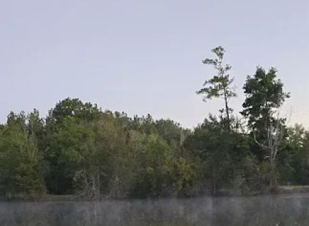 5 Lakes BOYSCOUT ONLY Campground