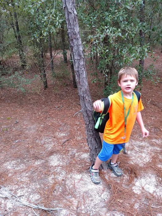 5 Lakes BOYSCOUT ONLY Campground Picture 5
