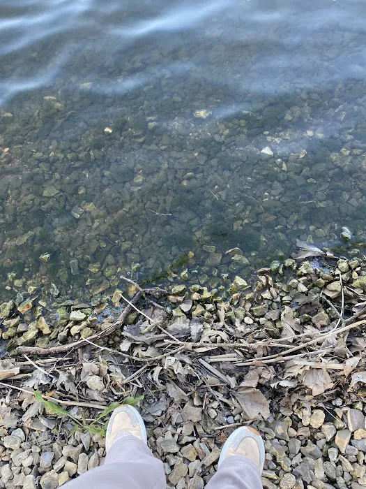 Rockford SRA Swimming Beach Picture 2