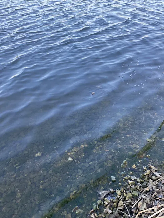 Rockford SRA Swimming Beach Picture 10