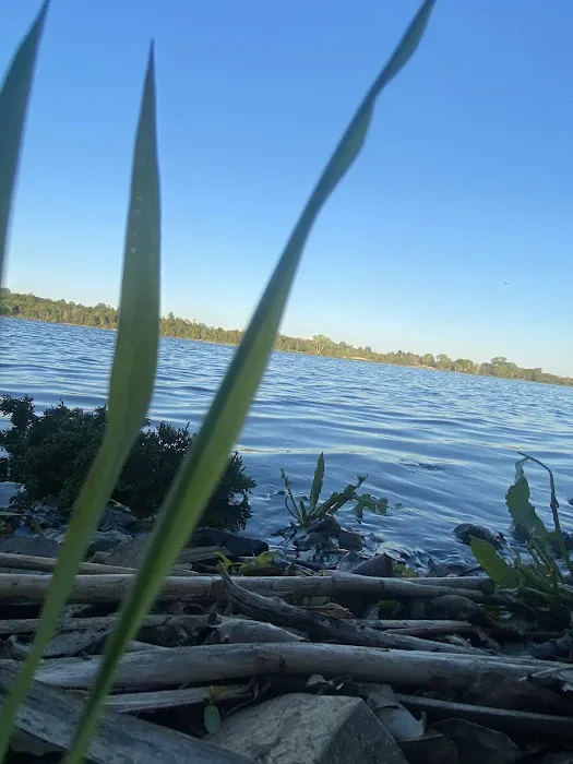 Rockford SRA Swimming Beach Picture 5