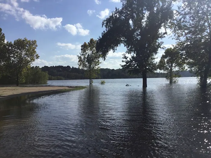 Turkey Creek Landing Picture 7