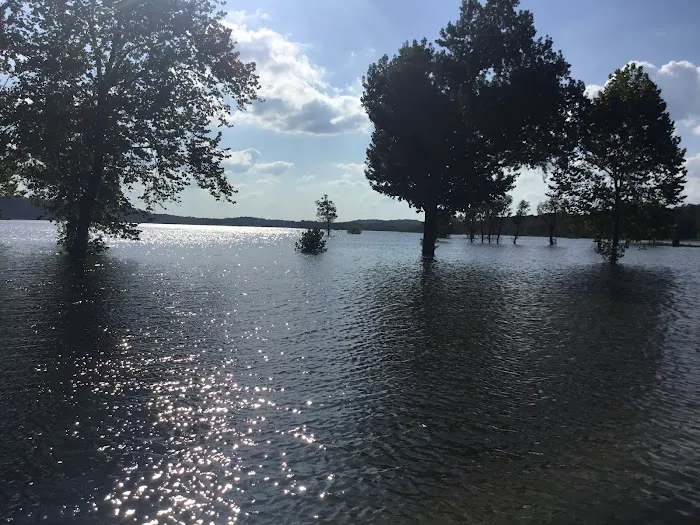Turkey Creek Landing Picture 8