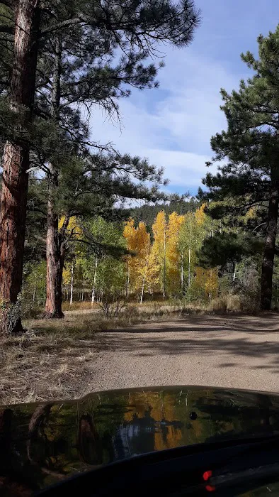 Highway Springs Campground Picture 8