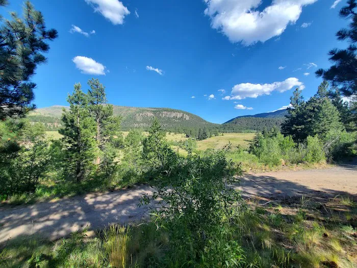 Highway Springs Campground Picture 10