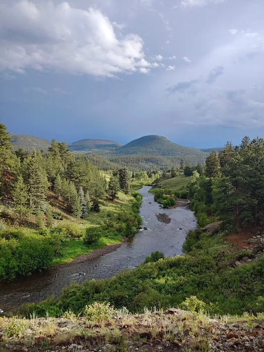 Highway Springs Campground Picture 4