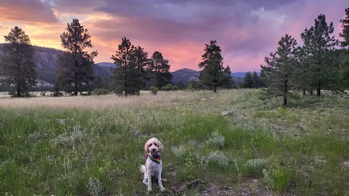 Lower Beaver Creek Campground Picture 2