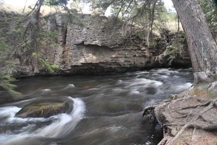 Lower Beaver Creek Campground Picture 3