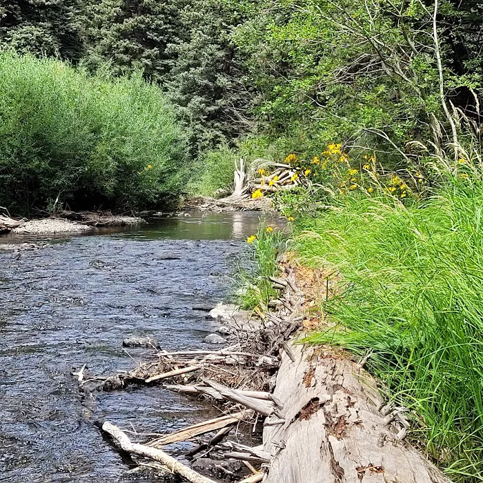 Upper Beaver Creek Campground Picture 7
