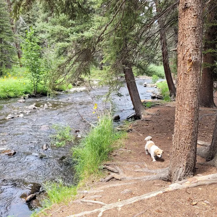 Upper Beaver Creek Campground Picture 10