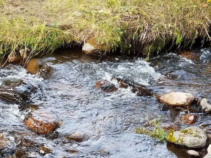 Cross Creek Campground Picture 6