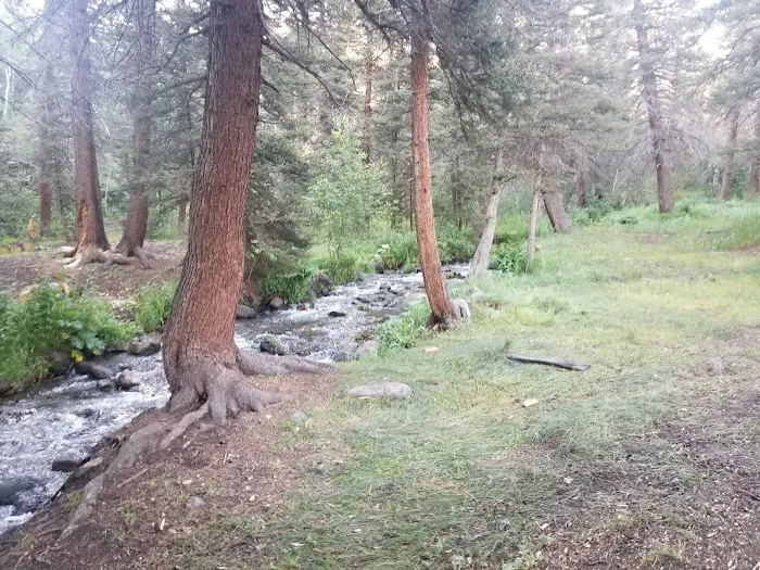 Cross Creek Campground Picture 1