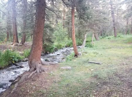 Cross Creek Campground