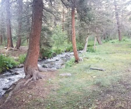 Cross Creek Campground