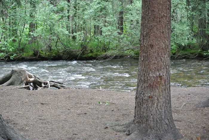 Park Creek Campground Picture 7