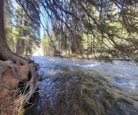 Park Creek Campground