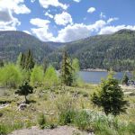 Big Meadows Campground And Picnic Area