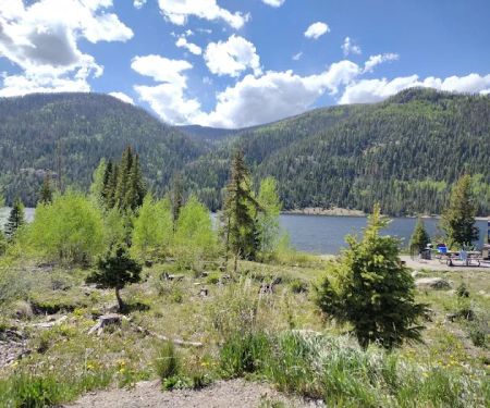 Big Meadows Campground And Picnic Area