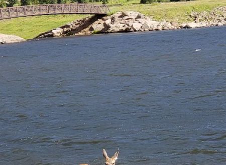 Big Meadows Reservoir Boating Site (recgovnpsdata)