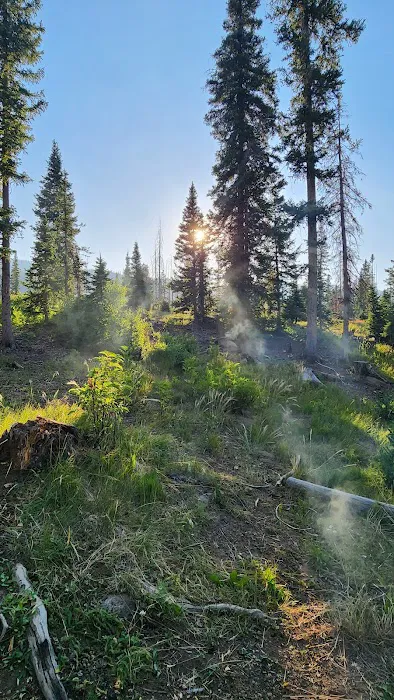 Tucker Ponds Campground Picture 10