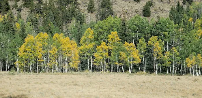 North Clear Creek Campground Picture 5