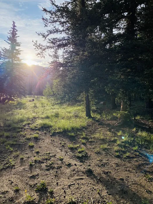 Bristol Head Campground Picture 7