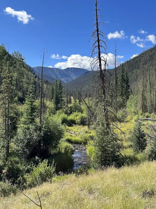 Ivy Creek Campground and Trailhead Picture 6