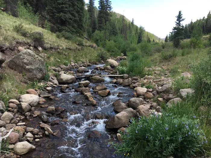 Ivy Creek Campground and Trailhead Picture 10