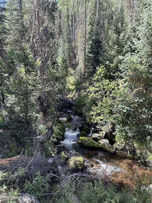 Ivy Creek Campground and Trailhead Picture 7