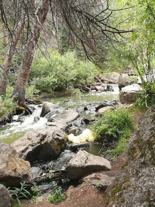 Silver Thread Campground Picture 6
