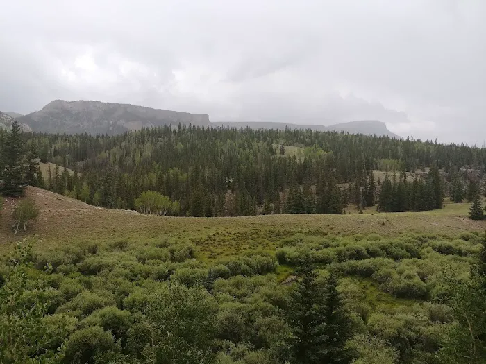 Silver Thread Campground Picture 5