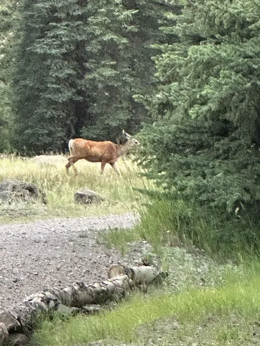 River Hill Campground Picture 1