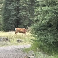 River Hill Campground ico