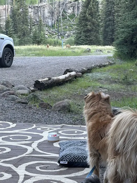 River Hill Campground Picture 9