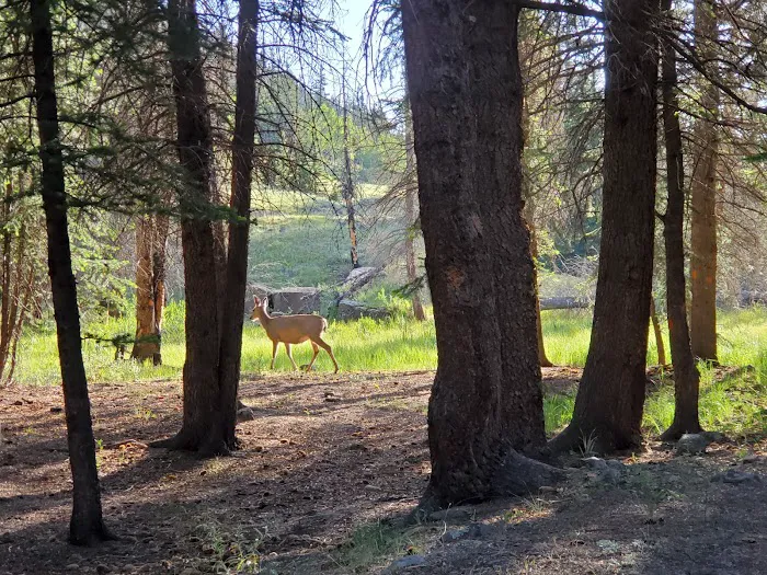River Hill Campground Picture 10