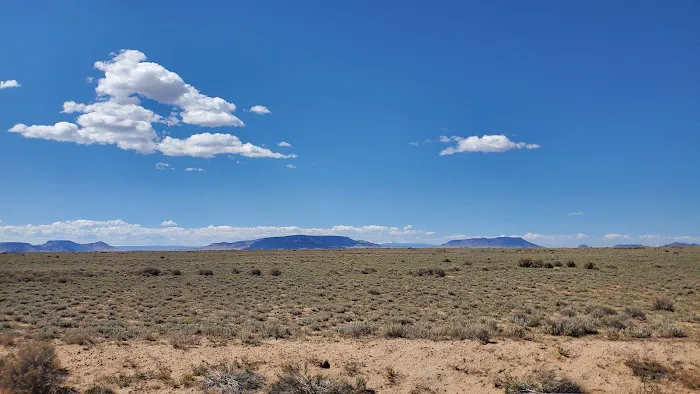 SoCo Acres Picture 1