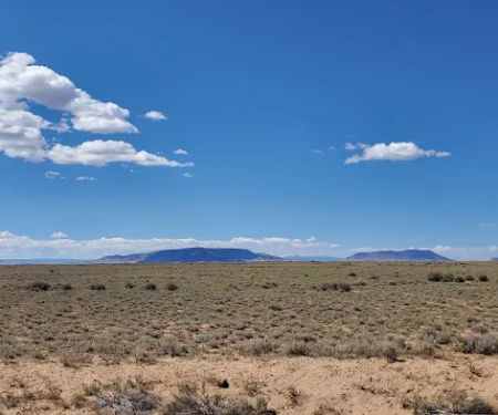 SoCo Acres