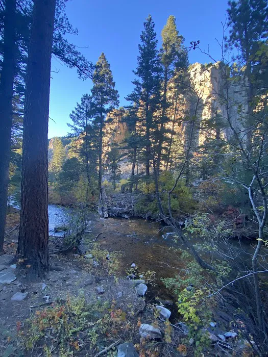 Rio Costilla Park & Campground Picture 6